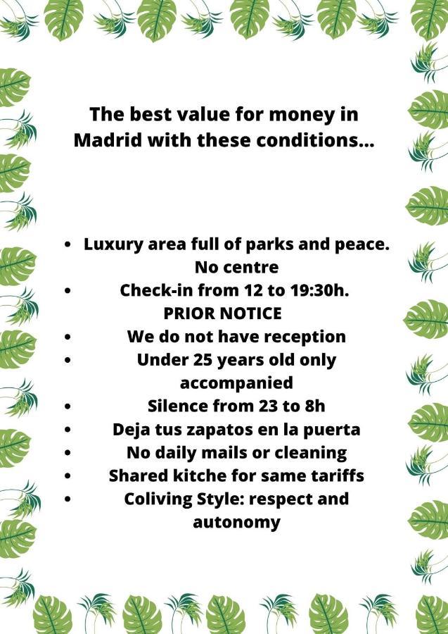 Paraiso Coliving * Madri